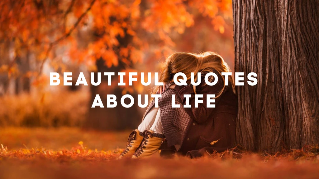 Beautiful Quotes About Life