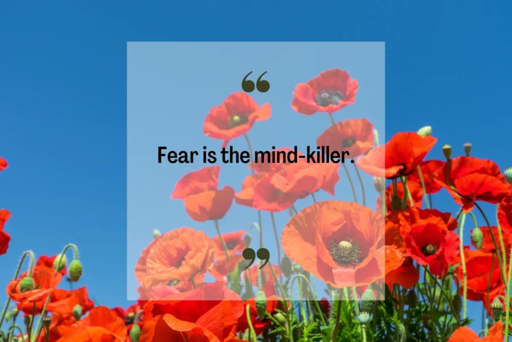 Famous Quotes About Fear