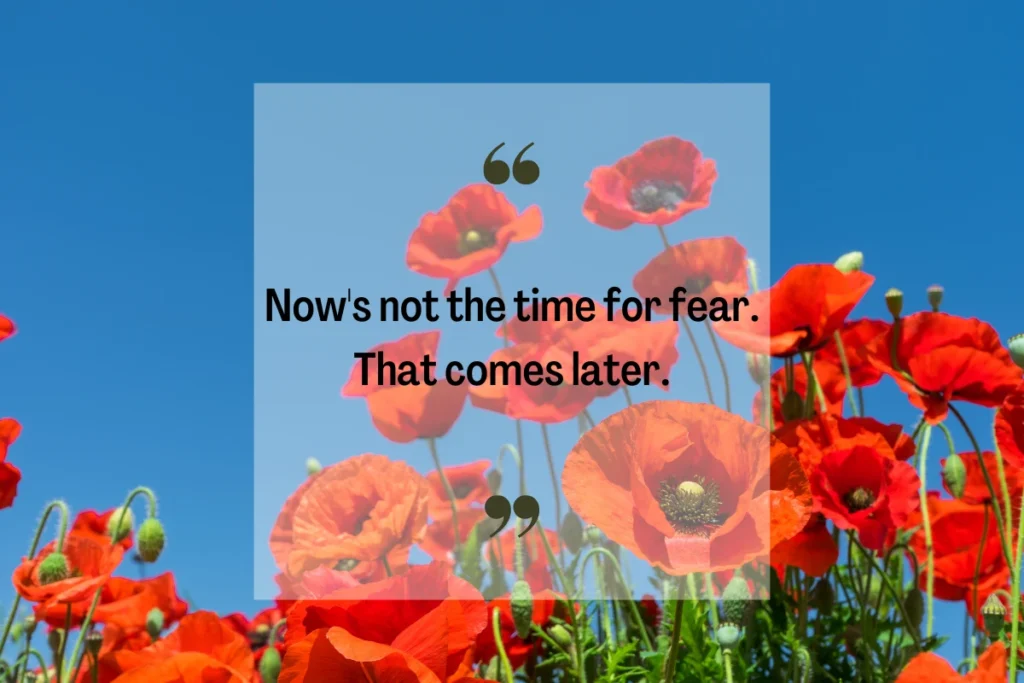 Fear Quotes From Movies