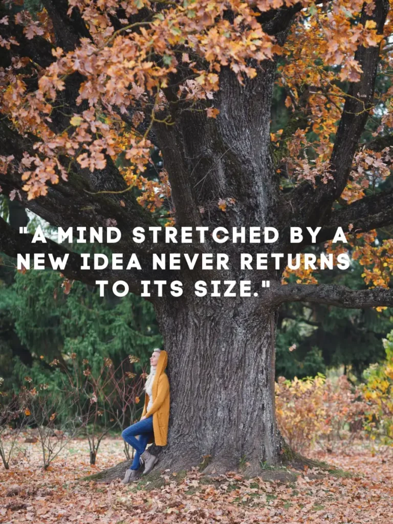 Never Quit Quotes for Students