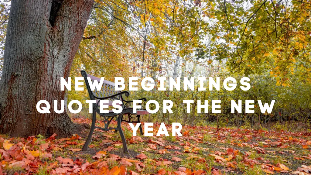 New Beginnings Quotes for the New Year