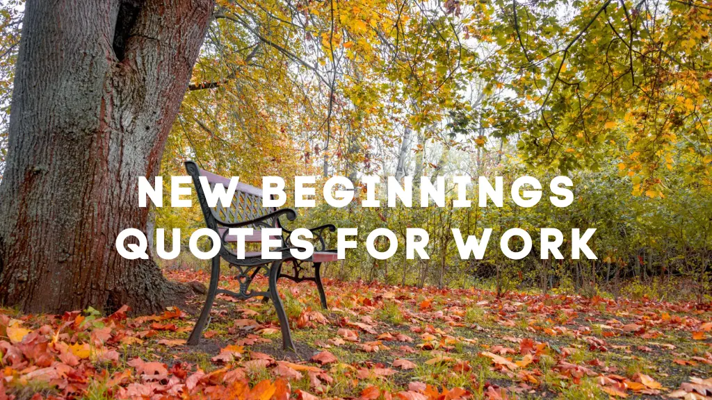New Beginnings Quotes for Work 