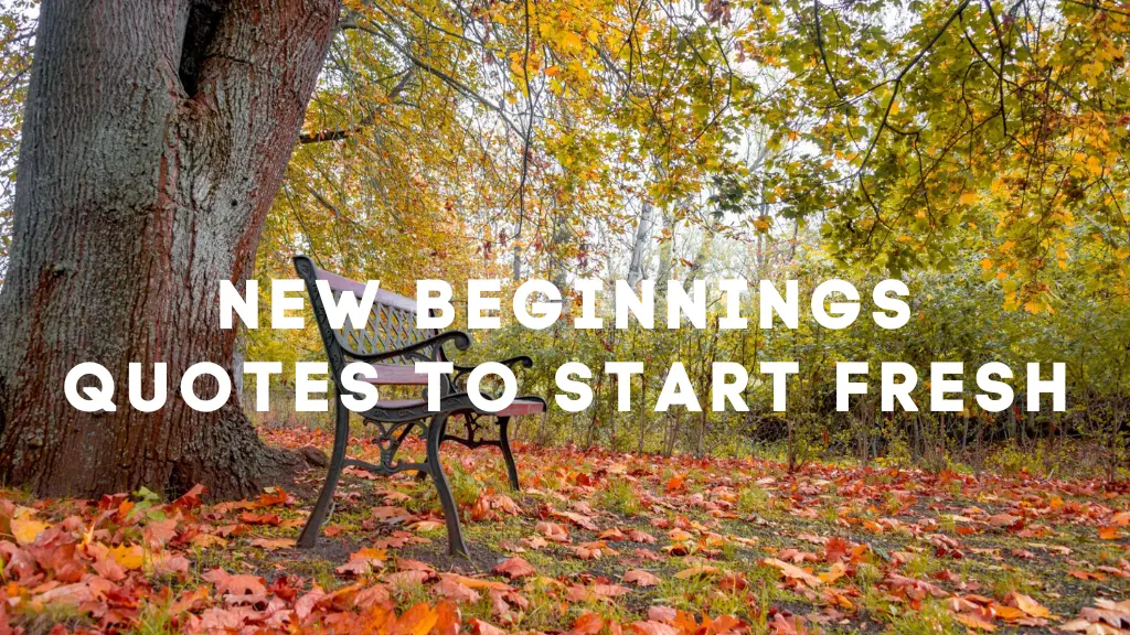 New Beginnings Quotes to Start Fresh