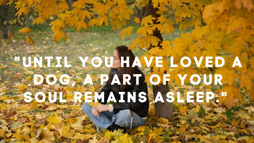 Pet Loss Quotes for Dogs