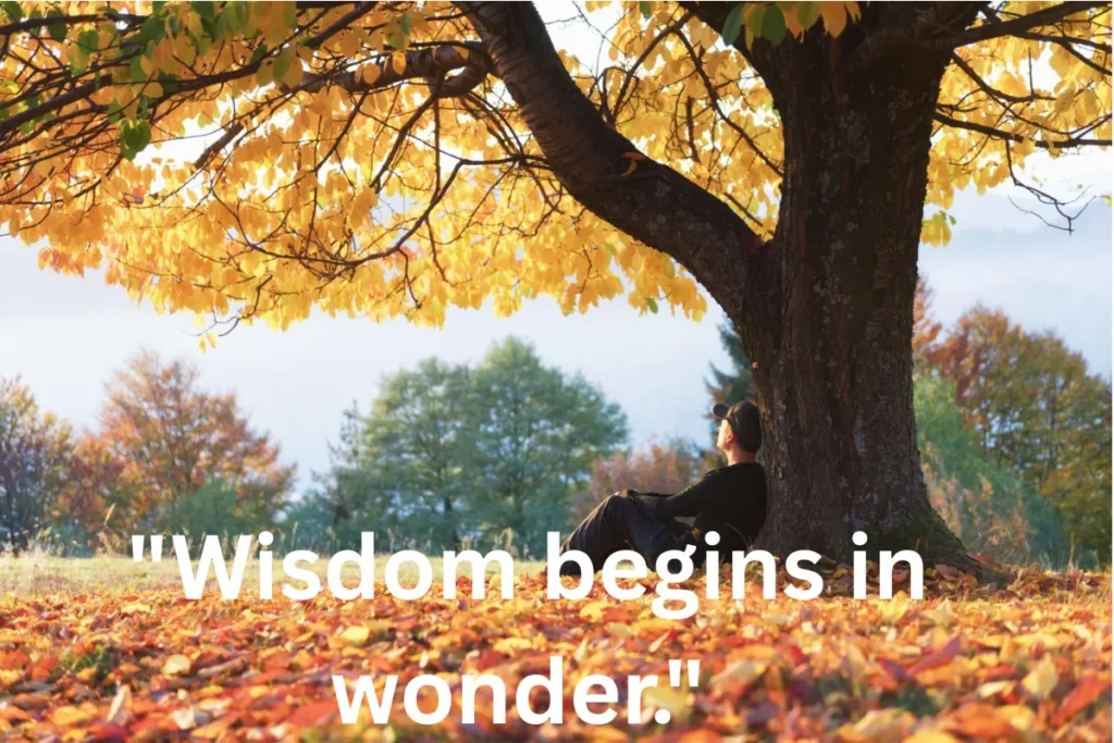 Positive Quotes for Kids About Curiosity