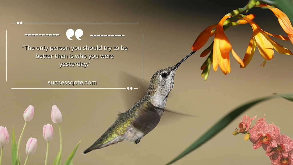 Quotes For Success And Personal Growth
