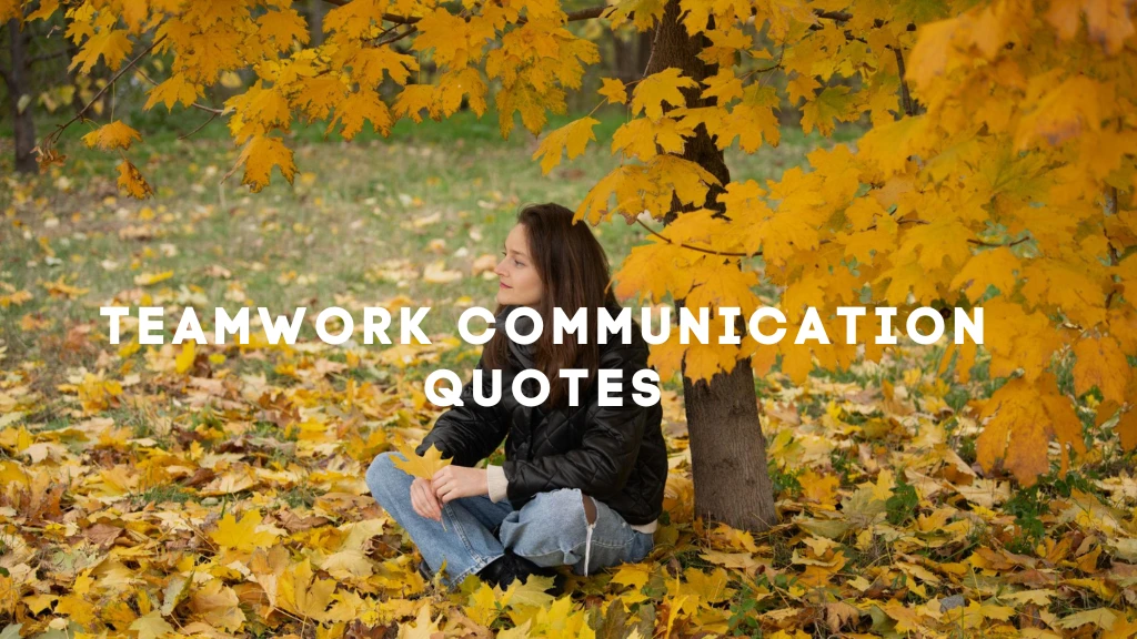 Teamwork Communication Quotes