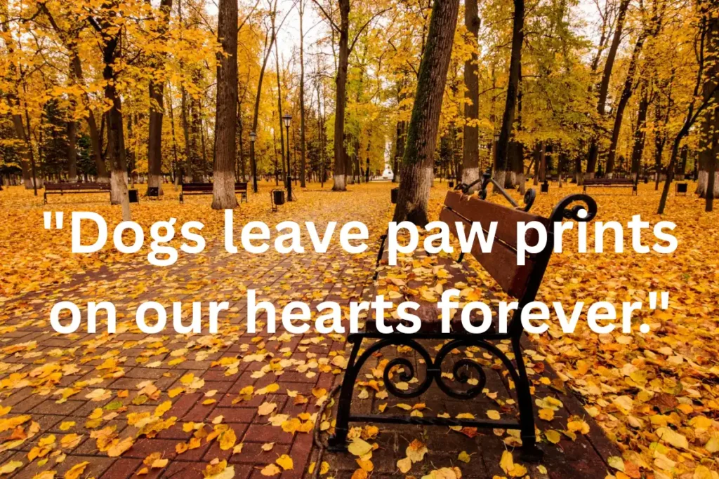 Grieving Quotes About Losing a Pet