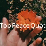 Peace Quotes