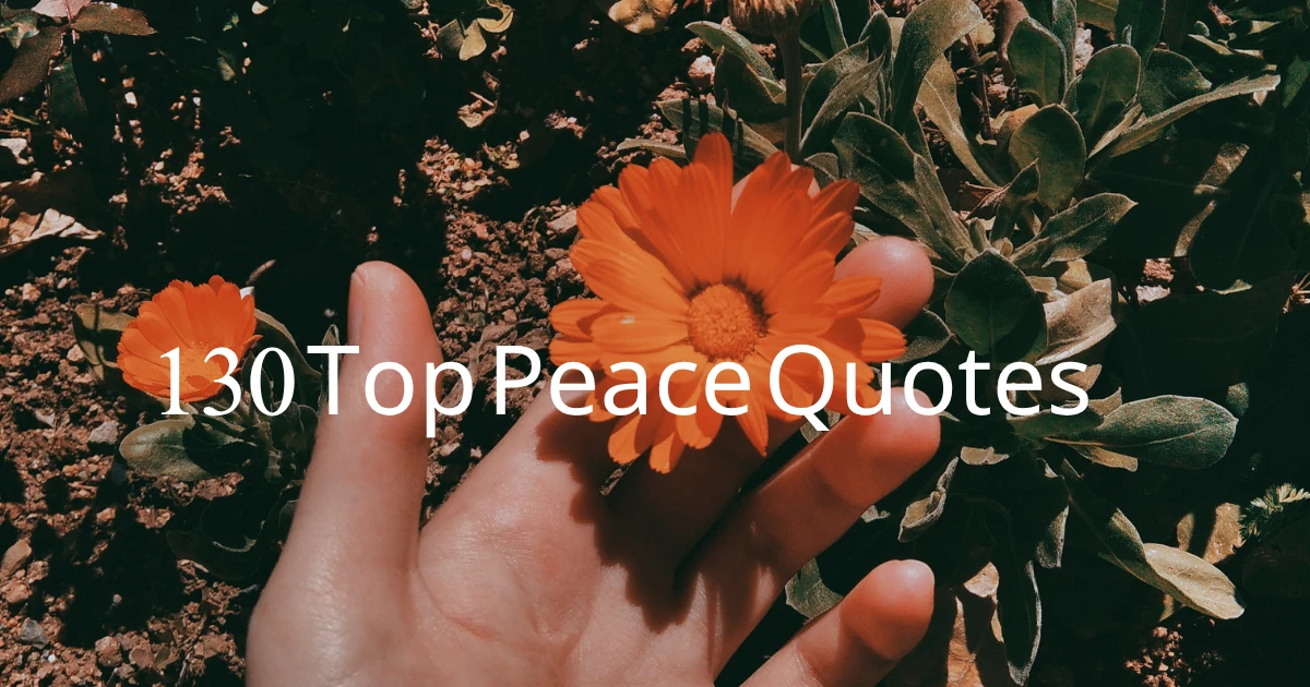 Peace Quotes