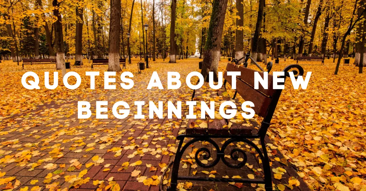 Quotes About New Beginnings