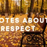 140 Quotes About Respect That Capture Its True Meaning Quotes About Respect