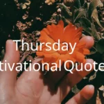 Thursday Motivational Quotes